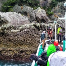 和歌山県串本　須江の磯で石鯛釣り