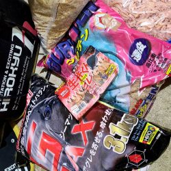 和歌山市江(吉丸渡船)で磯フカセ