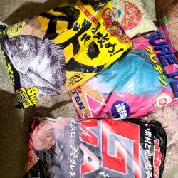 DAIWAマスターズ串本大会　予選