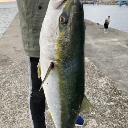 まさかのメジロ！