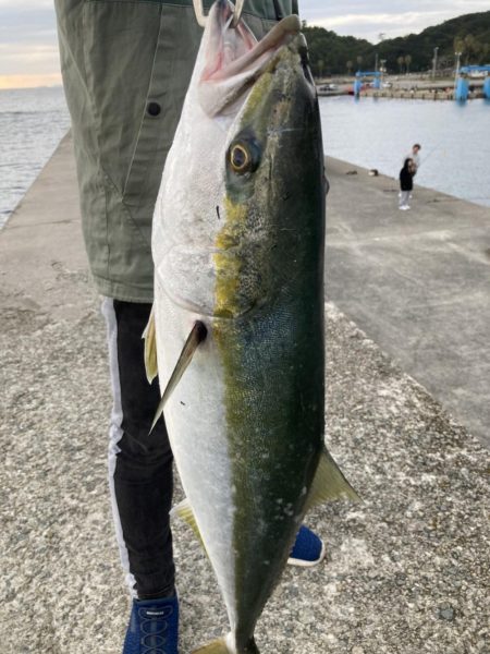 まさかのメジロ！