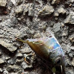 最高のロケーションで釣り！