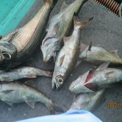 黒ムツ、キントキ　釣れたよ(^_-)-☆