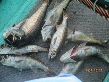 黒ムツ、キントキ　釣れたよ(^_-)-☆