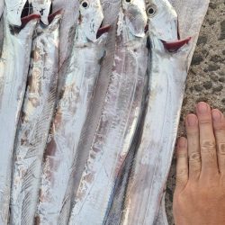 2時っチャオ(AM)