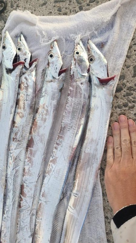 2時っチャオ(AM)