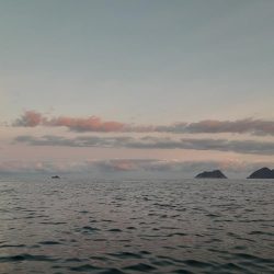 期待通りにいかない