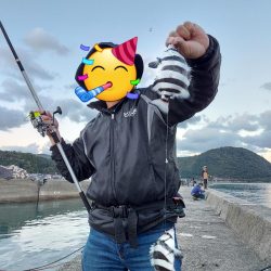 アオリイカ釣り