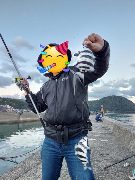 アオリイカ釣り