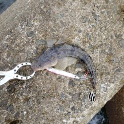 底モン、青モン狙い出撃