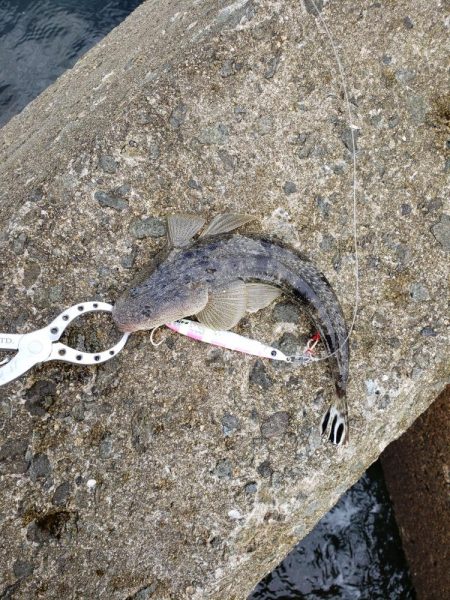 底モン、青モン狙い出撃