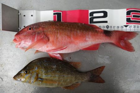 宿の裏の地磯で