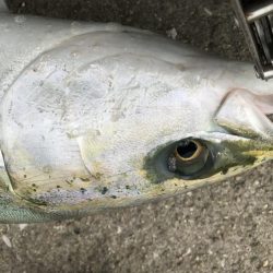 ベストタイミング