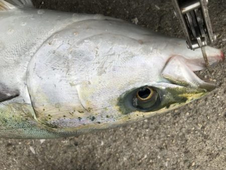 ベストタイミング