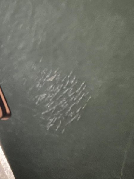 アジングのつもりだけど