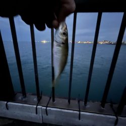 渋い季節の入り口