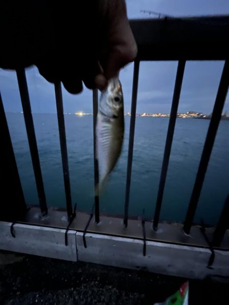 渋い季節の入り口