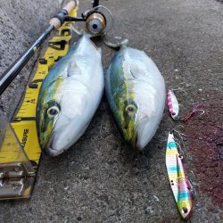 プチSalt water Game