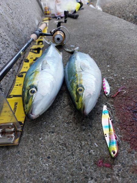 プチSalt water Game