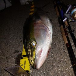 夕暮れのプチsalt water game