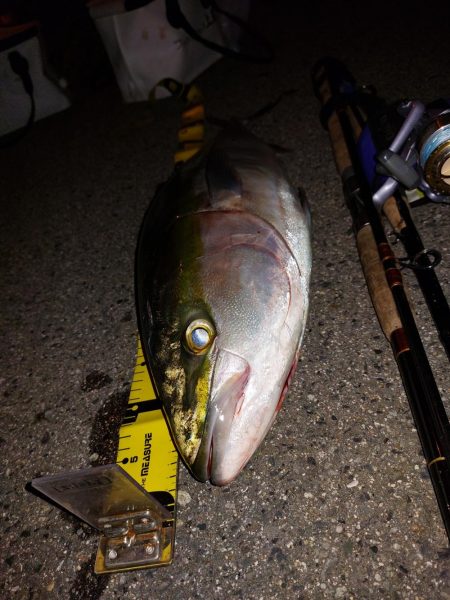 夕暮れのプチsalt water game