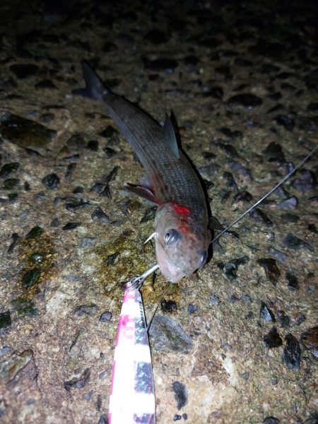 プチsalt water game