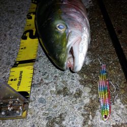 夕暮れのプチsalt water game