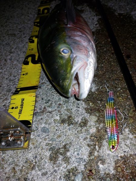 夕暮れのプチsalt water game