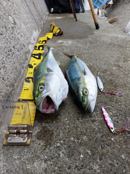 プチsalt water game