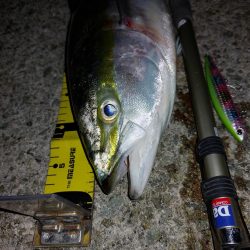 夕暮れのプチSalt water Game