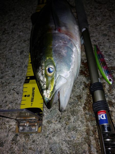 夕暮れのプチSalt water Game