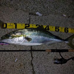 夕暮れのプチsalt water game