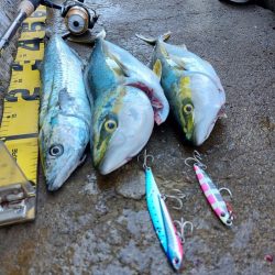 プチsalt water game