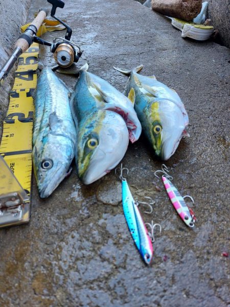 プチsalt water game