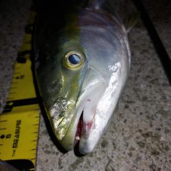 夕暮れのプチsalt water game