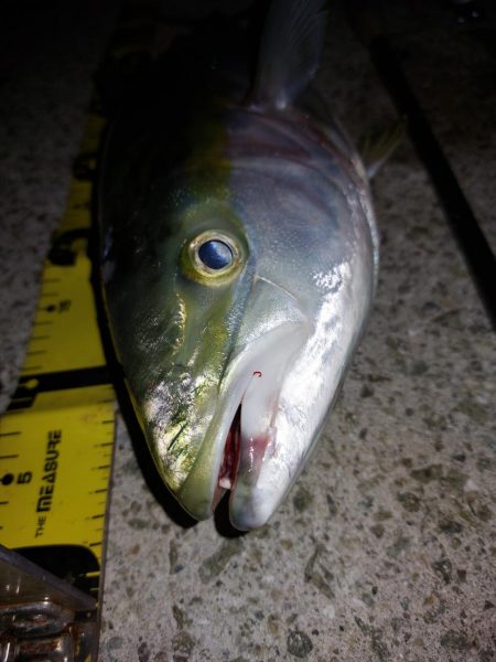 夕暮れのプチsalt water game