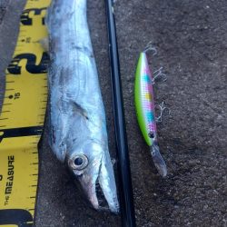 プチsalt water game