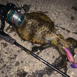 信用するエギはよく釣れる