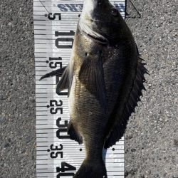 イチノ兄弟、釣果！