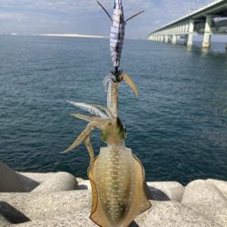 3バイト1キャッチ