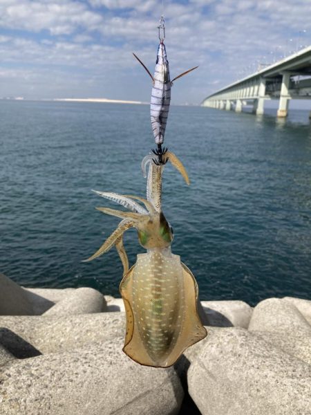 3バイト1キャッチ