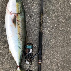 仕事前から短時間釣行