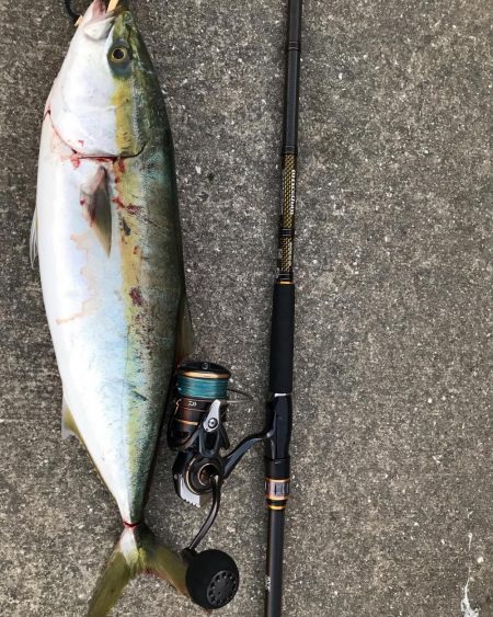 仕事前から短時間釣行