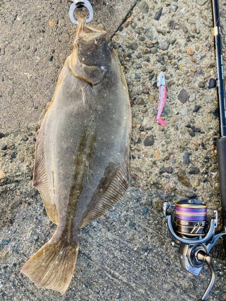 久々の高級魚^_^