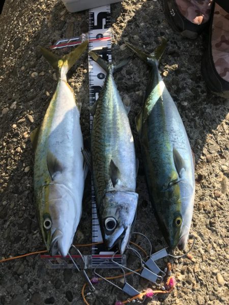 型は小さいが好調