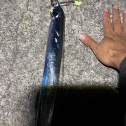 初めての太刀魚釣り