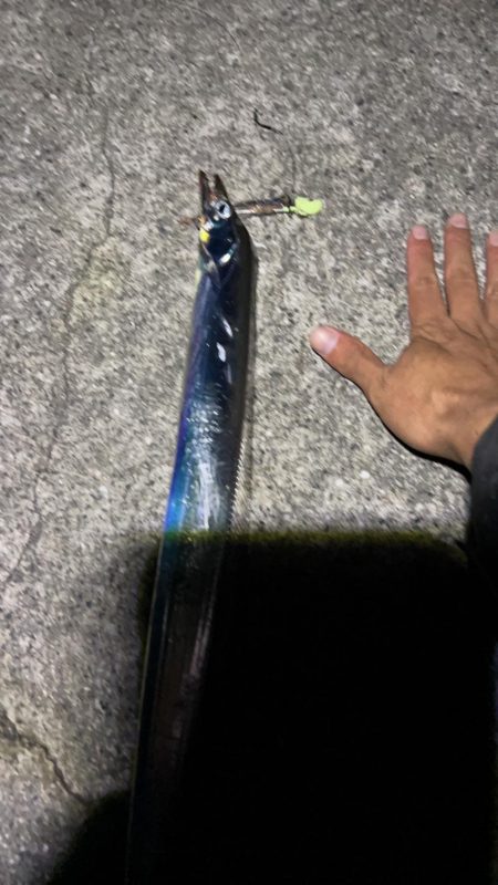 初めての太刀魚釣り