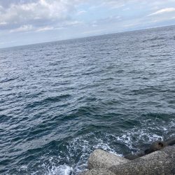 落ちパク！！！