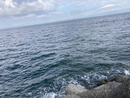 落ちパク！！！