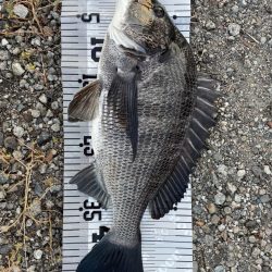 イチノ兄弟、釣果!